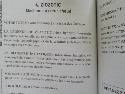 Tribal Tarot de Delphine Lhuillier - Graine d'Eden Développement personnel, spiritualité, tarots et oracles divinatoires, Bibliothèques des Oracles, avis, présentation, review , revue