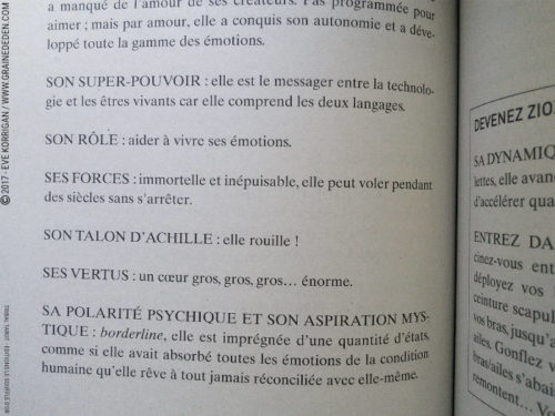 Tribal Tarot de Delphine Lhuillier - Graine d'Eden Développement personnel, spiritualité, tarots et oracles divinatoires, Bibliothèques des Oracles, avis, présentation, review , revue