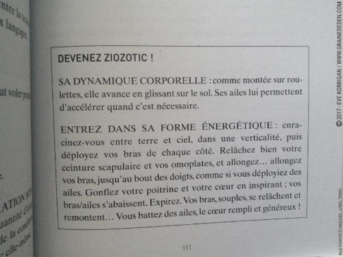 Tribal Tarot de Delphine Lhuillier - Graine d'Eden Développement personnel, spiritualité, tarots et oracles divinatoires, Bibliothèques des Oracles, avis, présentation, review , revue