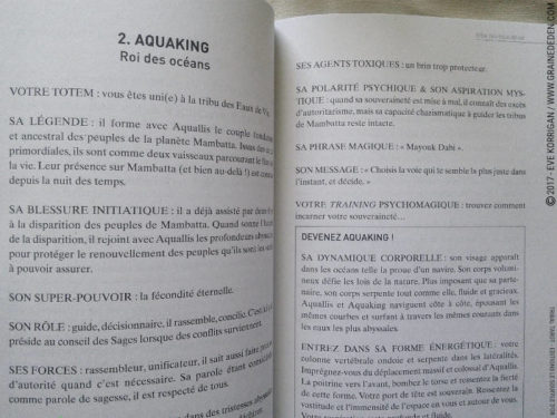 Tribal Tarot de Delphine Lhuillier - Graine d'Eden Développement personnel, spiritualité, tarots et oracles divinatoires, Bibliothèques des Oracles, avis, présentation, review , revue