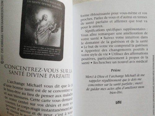 Graine d'Eden Développement personnel, spiritualité, tarots et oracles divinatoires, Bibliothèques des Oracles, avis, présentation, review , revue