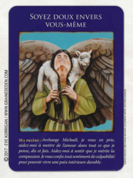 Cartes Oracle L'Archange Michaël de Doreen Virtue - Graine d'Eden Développement personnel, spiritualité, tarots et oracles divinatoires, Bibliothèques des Oracles, avis, présentation, review , revue