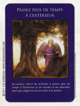 Cartes Oracle L'Archange Michaël de Doreen Virtue - Graine d'Eden Développement personnel, spiritualité, tarots et oracles divinatoires, Bibliothèques des Oracles, avis, présentation, review , revue