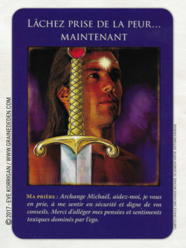 Cartes Oracle L'Archange Michaël de Doreen Virtue - Graine d'Eden Développement personnel, spiritualité, tarots et oracles divinatoires, Bibliothèques des Oracles, avis, présentation, review , revue