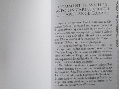 Graine d'Eden Développement personnel, spiritualité, tarots et oracles divinatoires, Bibliothèques des Oracles, avis, présentation, review , revue