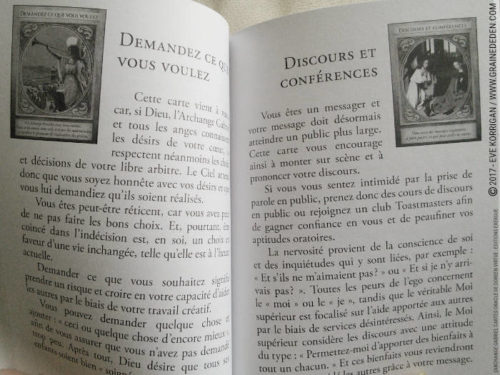 Graine d'Eden Développement personnel, spiritualité, tarots et oracles divinatoires, Bibliothèques des Oracles, avis, présentation, review , revue