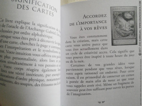 Graine d'Eden Développement personnel, spiritualité, tarots et oracles divinatoires, Bibliothèques des Oracles, avis, présentation, review , revue