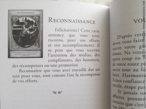 Graine d'Eden Développement personnel, spiritualité, tarots et oracles divinatoires, Bibliothèques des Oracles, avis, présentation, review , revue