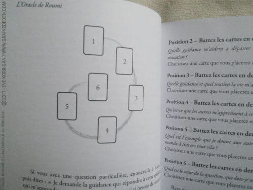 L'Oracle de Roumi de Alana Fairchild et Rassouli - Graine d'Eden Développement personnel, spiritualité, tarots et oracles divinatoires, Bibliothèques des Oracles, avis, présentation, review , revue