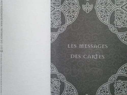 L'Oracle de Roumi de Alana Fairchild et Rassouli - Graine d'Eden Développement personnel, spiritualité, tarots et oracles divinatoires, Bibliothèques des Oracles, avis, présentation, review , revue