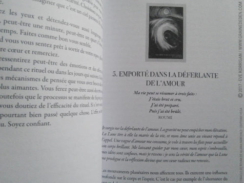 L'Oracle de Roumi de Alana Fairchild et Rassouli - Graine d'Eden Développement personnel, spiritualité, tarots et oracles divinatoires, Bibliothèques des Oracles, avis, présentation, review , revue