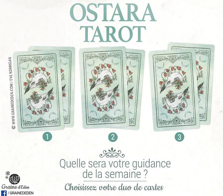 23 au 29 Octobre 2017 - Votre guidance de la semaine avec Ostara Tarot - Graine d'Eden Eve Korrigan - Développement personnel, spiritualité, tarots et oracles divinatoires, Bibliothèques des Oracles, avis, présentation, review , revue