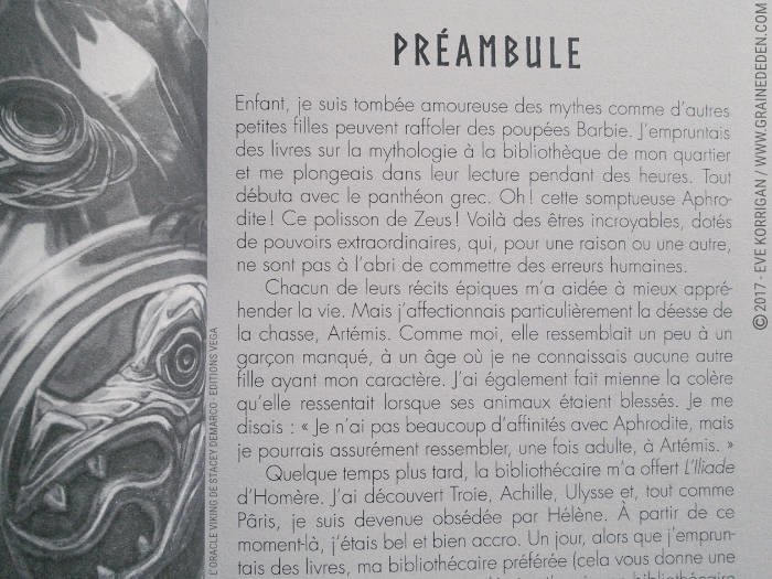 L'Oracle Viking de Stacey Demarco et Jimmy Manton - Graine d'Eden Développement personnel, spiritualité, tarots et oracles divinatoires, Bibliothèques des Oracles, avis, présentation, review , revue