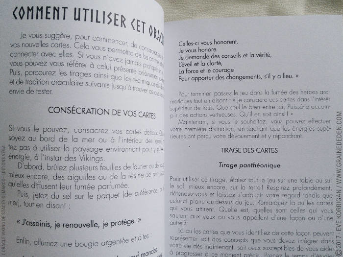 L'Oracle Viking de Stacey Demarco et Jimmy Manton - Graine d'Eden Développement personnel, spiritualité, tarots et oracles divinatoires, Bibliothèques des Oracles, avis, présentation, review , revue