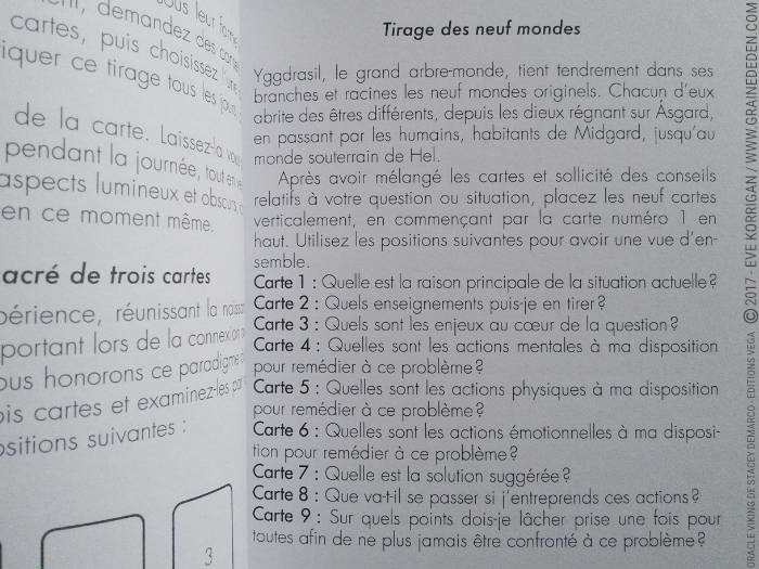 L'Oracle Viking de Stacey Demarco et Jimmy Manton - Graine d'Eden Développement personnel, spiritualité, tarots et oracles divinatoires, Bibliothèques des Oracles, avis, présentation, review , revue