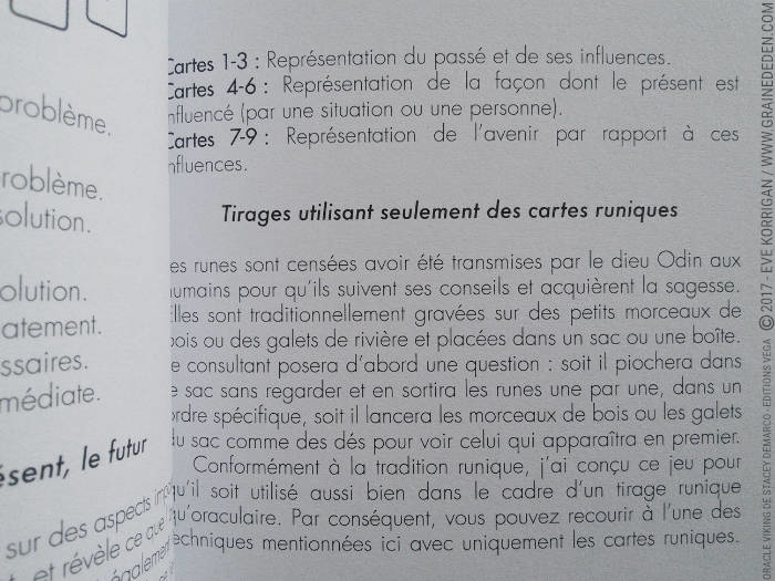 L'Oracle Viking de Stacey Demarco et Jimmy Manton - Graine d'Eden Développement personnel, spiritualité, tarots et oracles divinatoires, Bibliothèques des Oracles, avis, présentation, review , revue