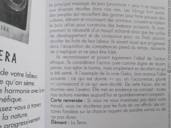 L'Oracle Viking de Stacey Demarco et Jimmy Manton - Graine d'Eden Développement personnel, spiritualité, tarots et oracles divinatoires, Bibliothèques des Oracles, avis, présentation, review , revue