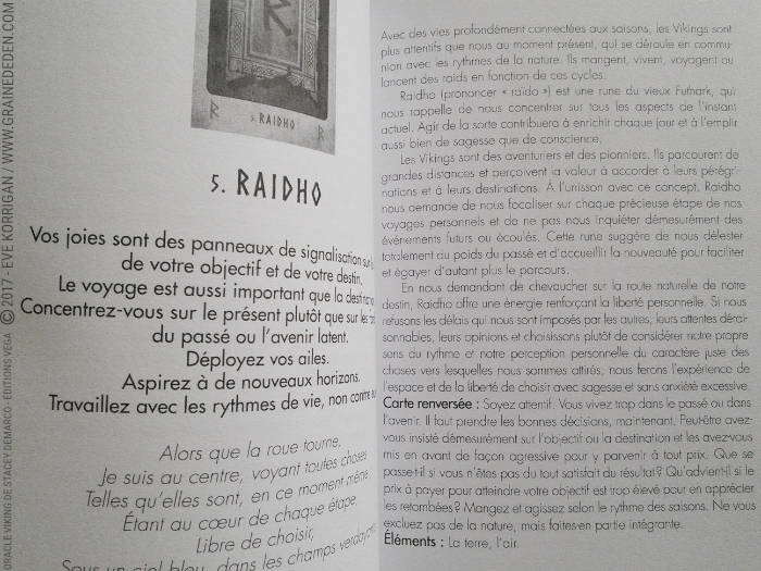 L'Oracle Viking de Stacey Demarco et Jimmy Manton - Graine d'Eden Développement personnel, spiritualité, tarots et oracles divinatoires, Bibliothèques des Oracles, avis, présentation, review , revue