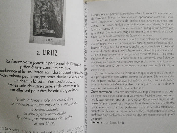 L'Oracle Viking de Stacey Demarco et Jimmy Manton - Graine d'Eden Développement personnel, spiritualité, tarots et oracles divinatoires, Bibliothèques des Oracles, avis, présentation, review , revue