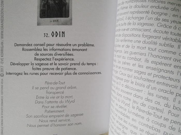 L'Oracle Viking de Stacey Demarco et Jimmy Manton - Graine d'Eden Développement personnel, spiritualité, tarots et oracles divinatoires, Bibliothèques des Oracles, avis, présentation, review , revue