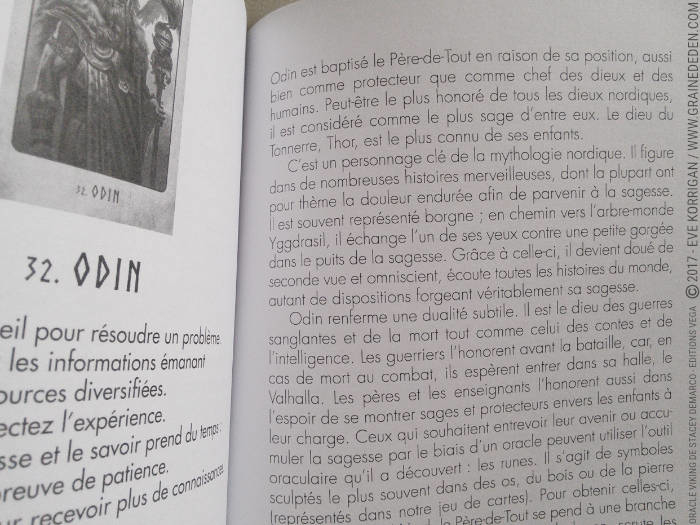 L'Oracle Viking de Stacey Demarco et Jimmy Manton - Graine d'Eden Développement personnel, spiritualité, tarots et oracles divinatoires, Bibliothèques des Oracles, avis, présentation, review , revue