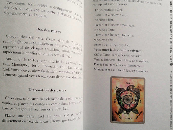 Graine d'Eden Développement personnel, spiritualité, tarots et oracles divinatoires, Bibliothèques des Oracles, avis, présentation, review , revue