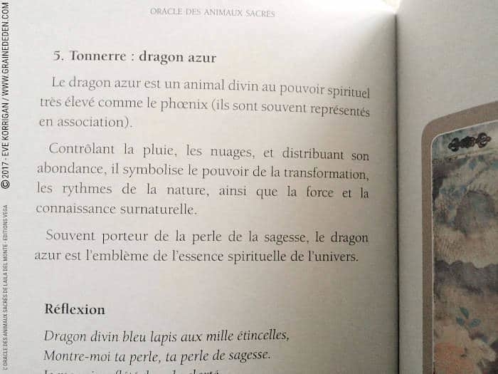 Graine d'Eden Développement personnel, spiritualité, tarots et oracles divinatoires, Bibliothèques des Oracles, avis, présentation, review , revue