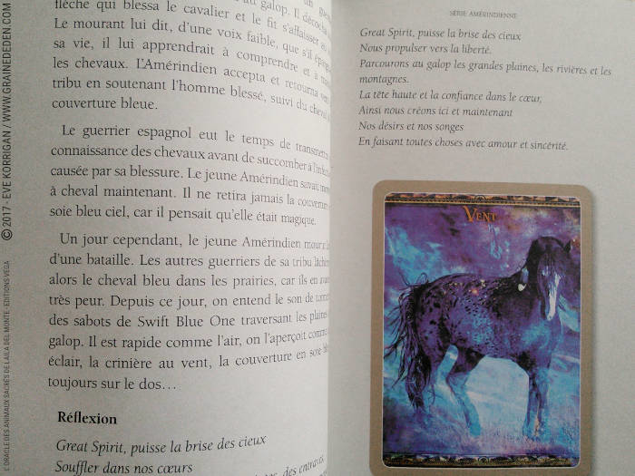 Graine d'Eden Développement personnel, spiritualité, tarots et oracles divinatoires, Bibliothèques des Oracles, avis, présentation, review , revue