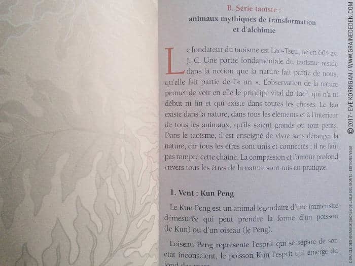 Graine d'Eden Développement personnel, spiritualité, tarots et oracles divinatoires, Bibliothèques des Oracles, avis, présentation, review , revue