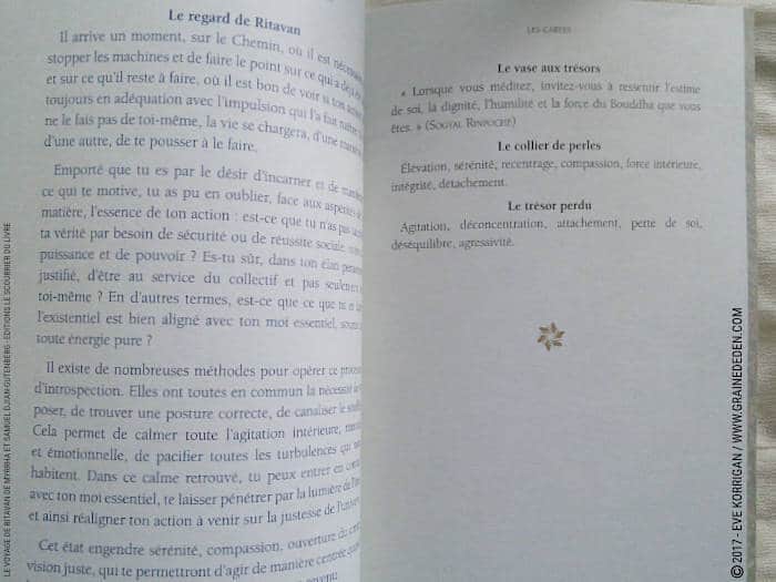 Le Voyage de Ritavan Cartes Oracle de Myrrha et Samuel Djian-Gutenberg - Graine d'Eden Développement personnel, spiritualité, tarots et oracles divinatoires, Bibliothèques des Oracles, avis, présentation, review , revue