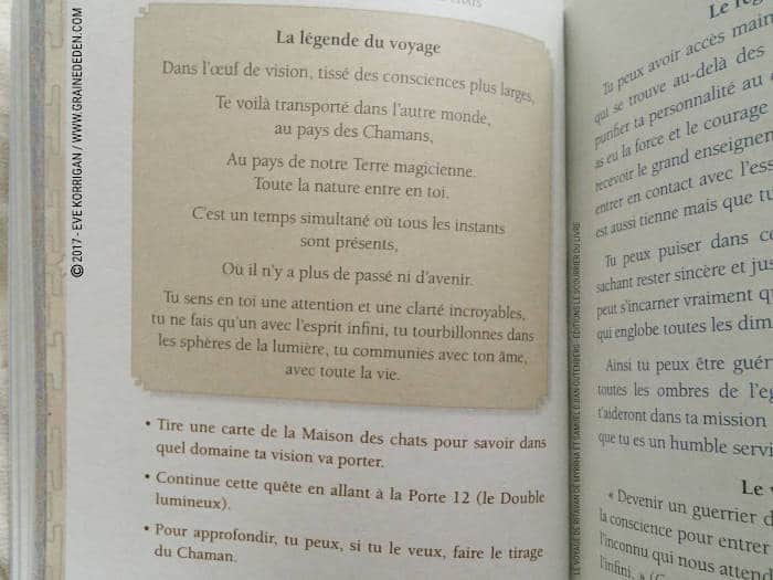 Le Voyage de Ritavan Cartes Oracle de Myrrha et Samuel Djian-Gutenberg - Graine d'Eden Développement personnel, spiritualité, tarots et oracles divinatoires, Bibliothèques des Oracles, avis, présentation, review , revue