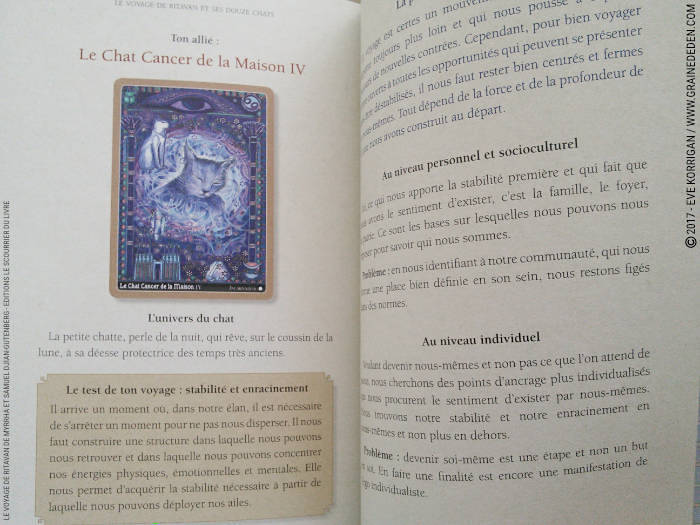 Le Voyage de Ritavan Cartes Oracle de Myrrha et Samuel Djian-Gutenberg - Graine d'Eden Développement personnel, spiritualité, tarots et oracles divinatoires, Bibliothèques des Oracles, avis, présentation, review , revue