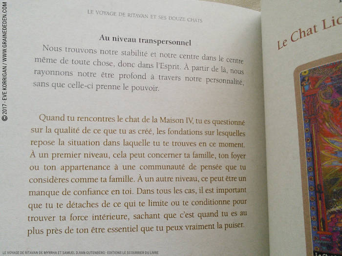 Le Voyage de Ritavan Cartes Oracle de Myrrha et Samuel Djian-Gutenberg - Graine d'Eden Développement personnel, spiritualité, tarots et oracles divinatoires, Bibliothèques des Oracles, avis, présentation, review , revue