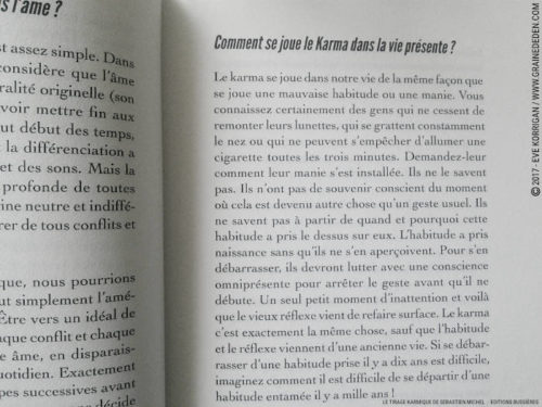 Review Le Tirage Karmique de Sébastien Michel