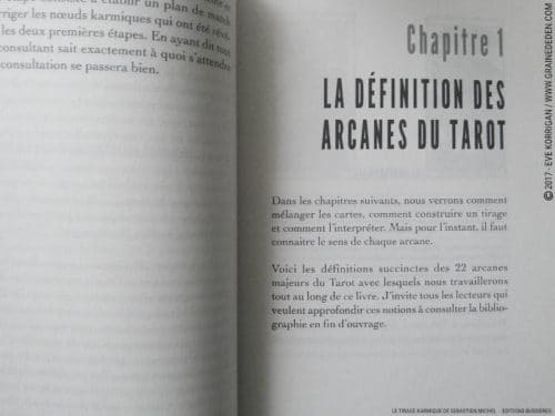 Review Le Tirage Karmique de Sébastien Michel