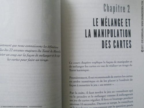 Review Le Tirage Karmique de Sébastien Michel