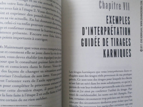 Review Le Tirage Karmique de Sébastien Michel