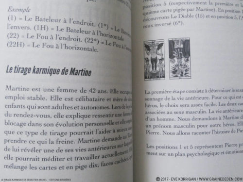 Review Le Tirage Karmique de Sébastien Michel