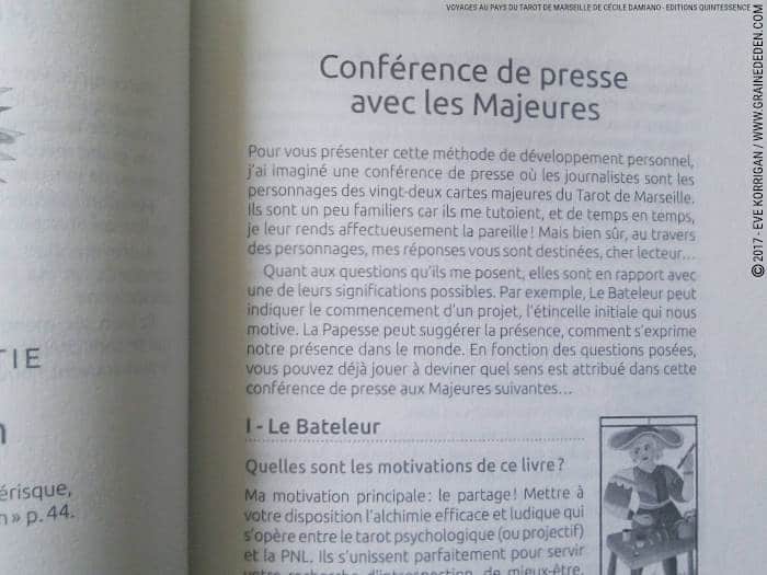 Un livre de base sur les tarots : lhistoire, la pratique