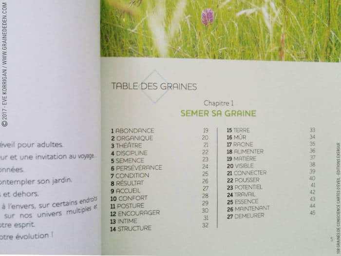 108 Graines de Conscience Cartes d'Eveil de Alma on Earth - Graine d'Eden Développement personnel, spiritualité, tarots et oracles divinatoires, Bibliothèques des Oracles, avis, présentation, review , revue