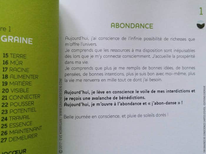 108 Graines de Conscience Cartes d'Eveil de Alma on Earth - Graine d'Eden Développement personnel, spiritualité, tarots et oracles divinatoires, Bibliothèques des Oracles, avis, présentation, review , revue