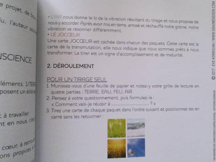 108 Graines de Conscience Cartes d'Eveil de Alma on Earth - Graine d'Eden Développement personnel, spiritualité, tarots et oracles divinatoires, Bibliothèques des Oracles, avis, présentation, review , revue