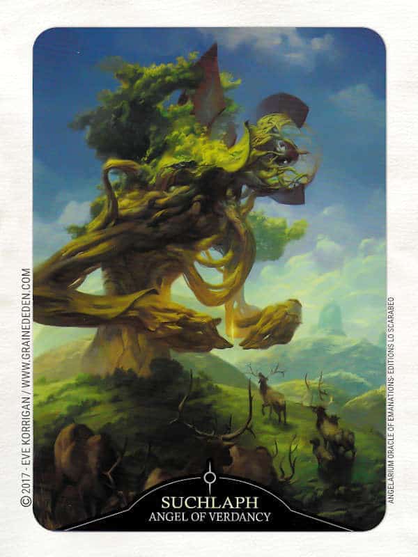 Angelarium Oracle of Emanations de Eli Minaya et Peter Mohrbacher - Graine d'Eden Développement personnel, spiritualité, tarots et oracles divinatoires, Bibliothèques des Oracles, avis, présentation, review , revue