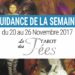 20 au 26 Novembre 2017 - Votre guidance de la semaine avec le Tarot des fées de Doreen Virtue et Radleigh Valentine - Graine d'Eden Eve Korrigan - Développement personnel, spiritualité, tarots et oracles divinatoires, Bibliothèques des Oracles, avis, présentation, review , revue