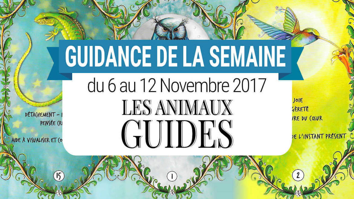 6 au 12 Novembre 2017 - Votre guidance de la semaine avec le Coffret des Animaux-Guides de Catherine Sorolla Menassieu - Graine d'Eden Eve Korrigan - Développement personnel, spiritualité, tarots et oracles divinatoires, Bibliothèques des Oracles, avis, présentation, review , revue