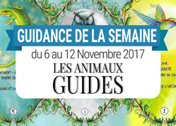 6 au 12 Novembre 2017 - Votre guidance de la semaine avec le Coffret des Animaux-Guides de Catherine Sorolla Menassieu - Graine d'Eden Eve Korrigan - Développement personnel, spiritualité, tarots et oracles divinatoires, Bibliothèques des Oracles, avis, présentation, review , revue