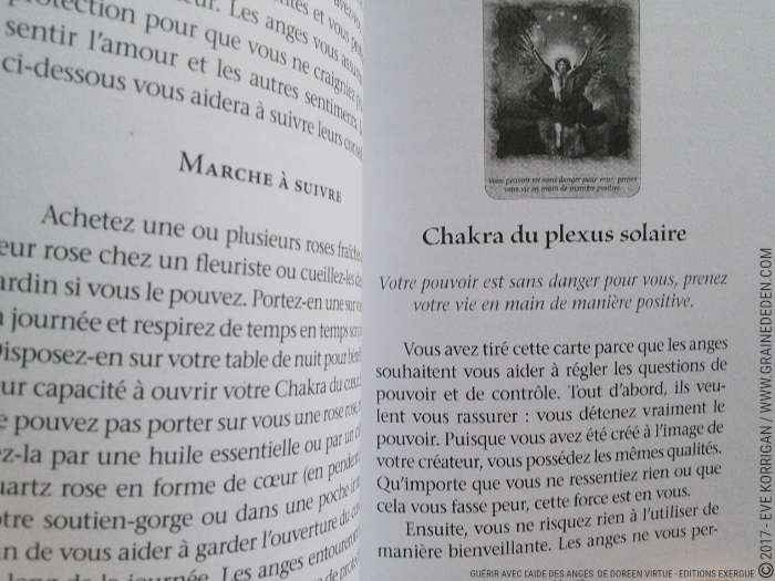 Guérir avec l'Aide des Anges Cartes Oracle de Doreen Virtue - Graine d'Eden Développement personnel, spiritualité, tarots et oracles divinatoires, Bibliothèques des Oracles, avis, présentation, review , revue