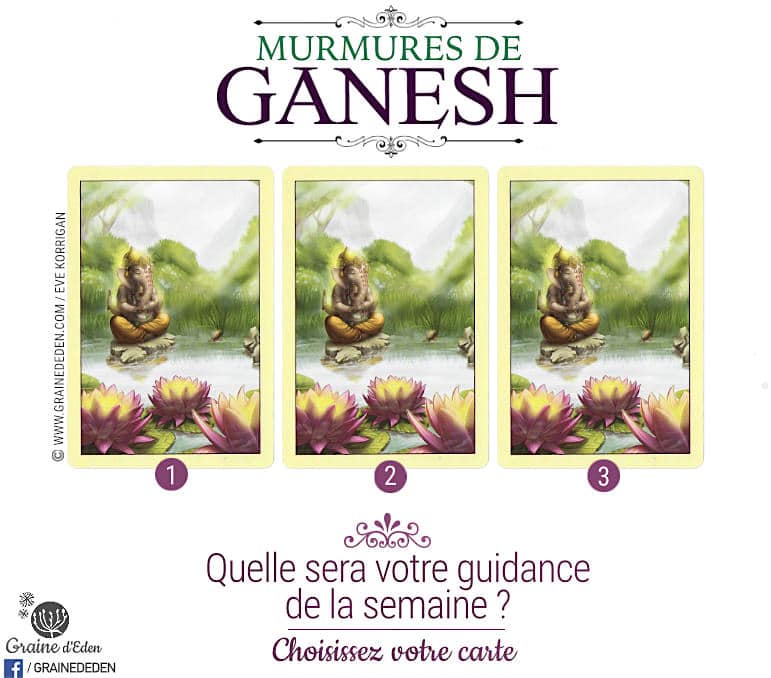 27 Novembre au 3 Décembre - Votre guidance de la semaine avec les cartes Oracle Murmures de Ganesh de Angela Hartfield - Graine d'Eden Eve Korrigan - Développement personnel, spiritualité, tarots et oracles divinatoires, Bibliothèques des Oracles, avis, présentation, review , revue