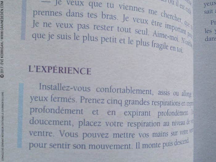 L'Oracle de l'Enfant intérieur de Marie-France et Emmanuel Ballet de Coquereaumont - Graine d'Eden Développement personnel, spiritualité, tarots et oracles divinatoires, Bibliothèques des Oracles, avis, présentation, review , revue