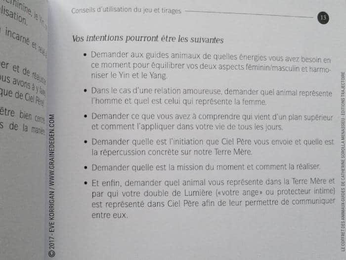 Le Coffret des Animaux-Guides de Catherine Sorolla Menassieu - L'Officiel - Graine d'Eden Développement personnel, spiritualité, tarots et oracles divinatoires, Bibliothèques des Oracles, avis, présentation, review , revue